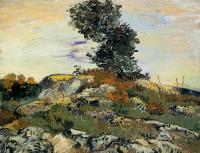 Gogh, Vincent van - Rocks with Tree